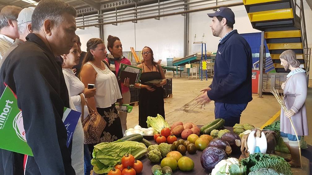 20180516_113221|Benihort-vista-Anap-Cuba